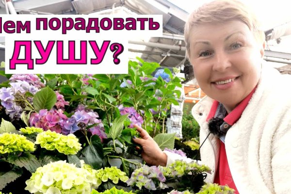 Почему в кракене пользователь не найден